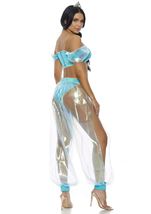 Adult Whole World Arab Princess Women Costume