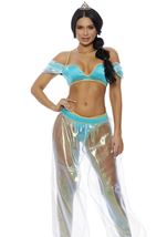 Adult Whole World Arab Princess Women Costume