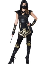 Ninja Mystique Women Costume