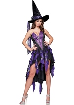Bewitching Beauty Women Costume