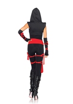 Adult Deadly Ninja Women Costume