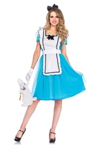 Adult Classic Alice Women Costume