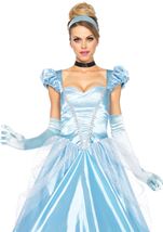 Adult Classic Cinderella Women Costume