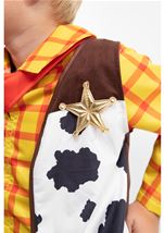 Kids Cowboy Woody Boys Costume