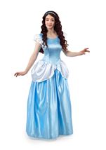 Adult Enchanted Cinderella Women Costume