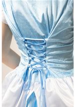 Adult Enchanted Cinderella Women Costume