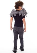 Kids Boys Black Dragon Wings And Mask