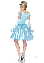 Adult Disney Princess Cinderella Woman Costume