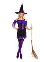 Adult Devious Witch Women Costume