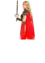 Adult Dark Greek Warrior Woman Plus Costume
