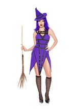 Adult Wickedly Witch Mistress Women Costume
