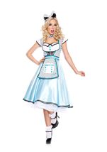 Adult Adorable Alice Women Costume