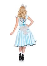 Adult Adorable Alice Women Costume