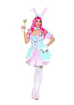 Bunny Beauty Plus Size Women Costume