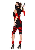 Adult Fierce Ninja Warrior Women Costume