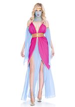 Harem Princess Woman Arabian Costume