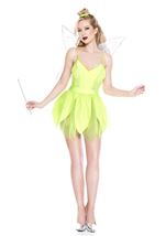 Magical Fairy Woman Costume