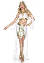 Adult Kingdom Queen Women Costume