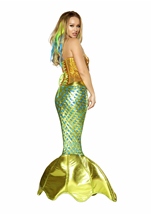 Adult Siren Of The Sea Deluxe Mermaid Women Costume