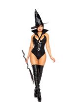 Adult Wicked Witch Women Costume