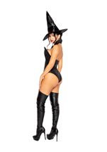 Adult Wicked Witch Women Costume