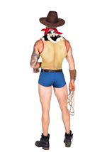 Adult Playful Sheriff Men Costume