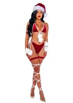 Santa Holiday Women Costume