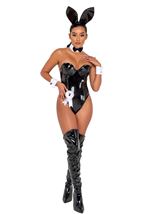 Adult Playboy Seductress Bunny Women Costume