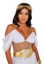 Adult Playboy Goddess Women Costume