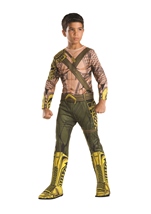 Aquaman Boys Dawn Of Justice Costume