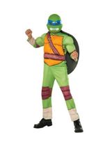 Leonardo Boys Ninja Turtle Costume