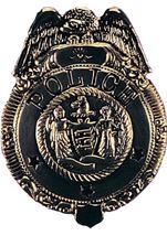 Deluxe Gold Police Badge