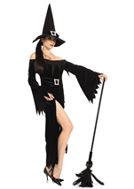 Wicked Witch Women Costume