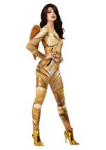 Adult Divine Guardian Angel Women Costume