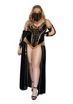 Adult Harem Nights Plus Size Women Costume