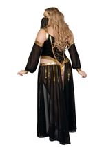 Adult Harem Nights Plus Size Women Costume