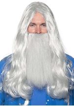 Wizard Men Wig and Beard Set