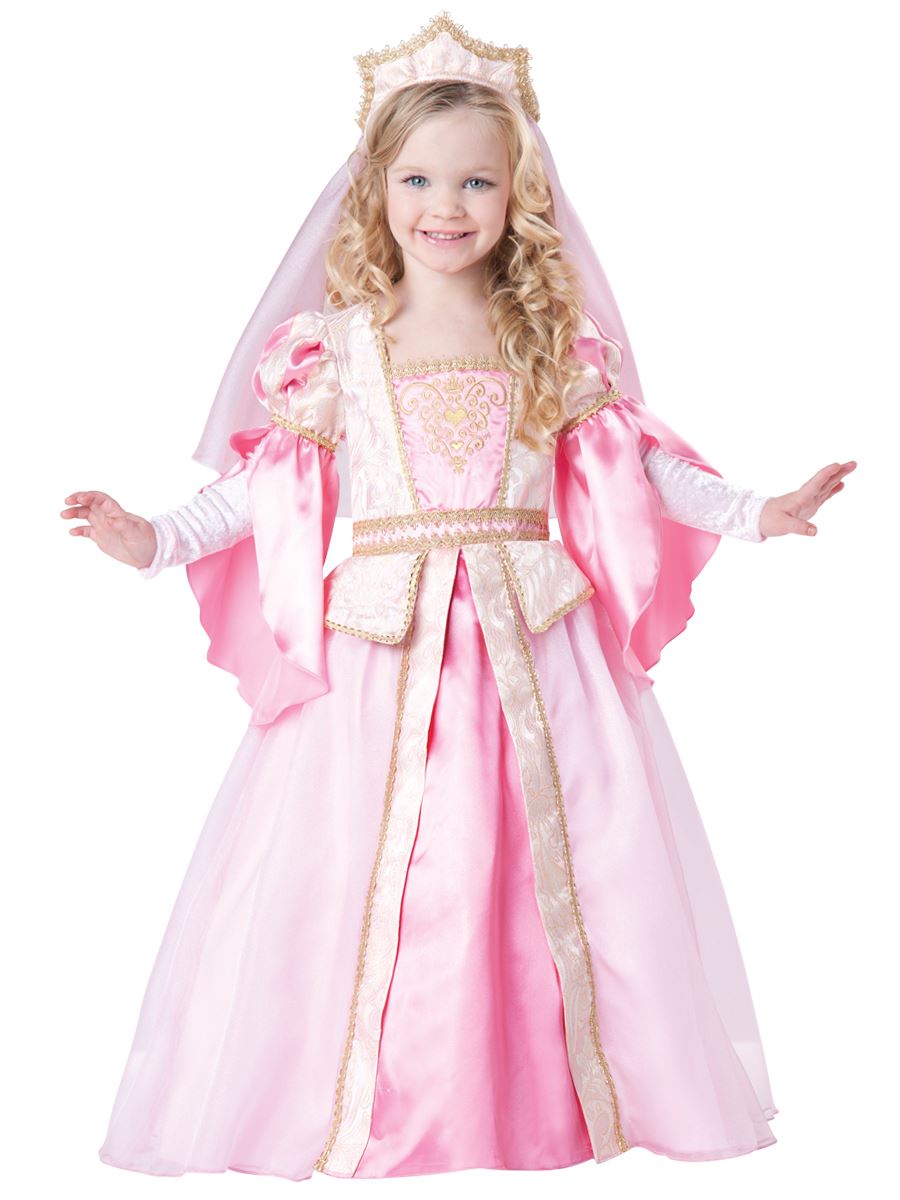 2t princess costume